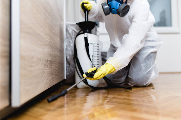 Best Emergency Pest Control  in Dover, TN