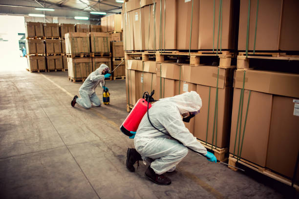 Best Mosquito Control Services  in Dover, TN