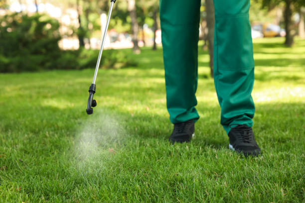 Best Cockroach Control Services  in Dover, TN