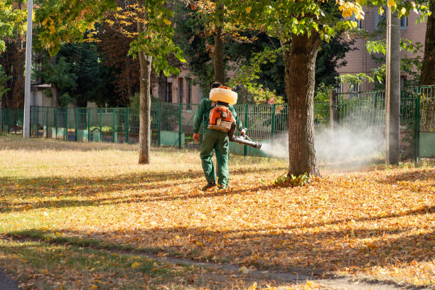 Pest Control Cost in Dover, TN