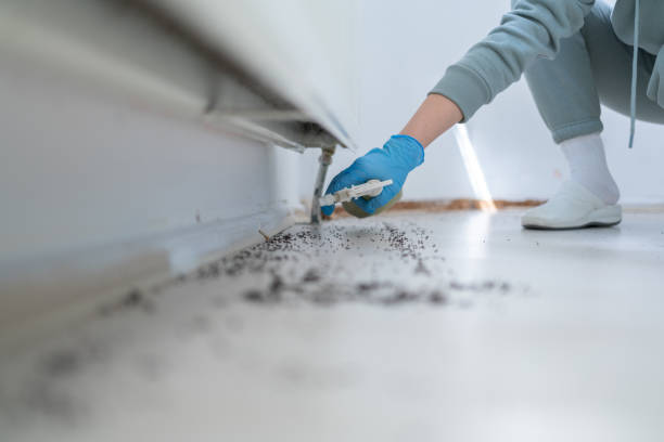 Best Pest Removal Services  in Dover, TN